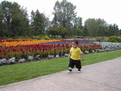 Walk, walk, walk!