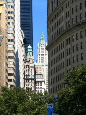 IMG_2271.jpg