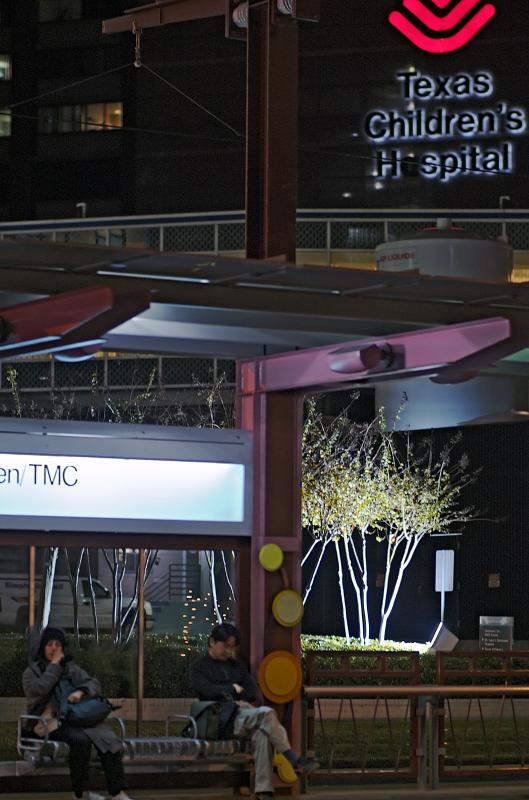 Dryden-TMC tram stop 01f