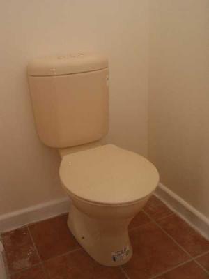 new toilet installed after walls painted