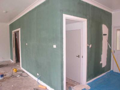 Tango Vine applied to family/kitchen wall