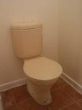 new toilet installed after walls painted