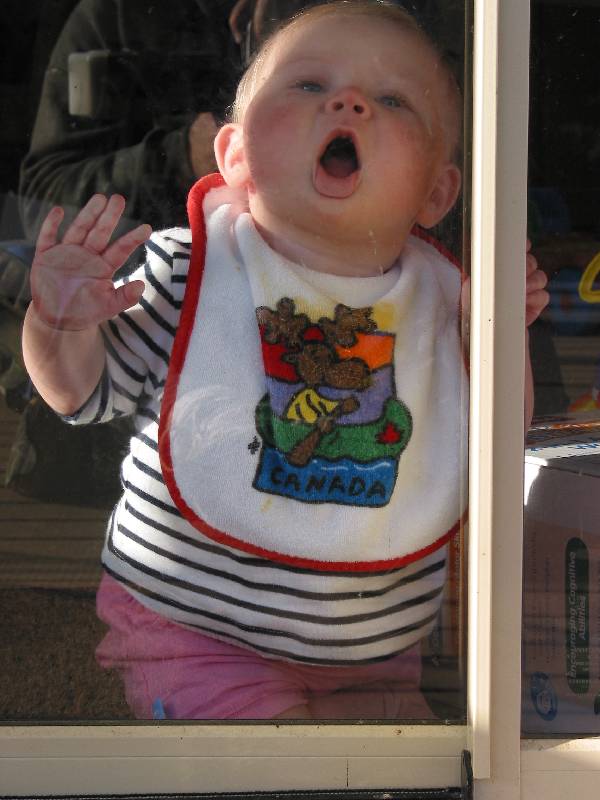 tasty glass door