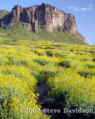 Superstition Mountains - Spring 2005