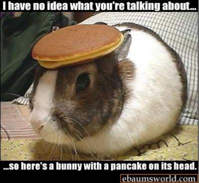 BunnywPancake.