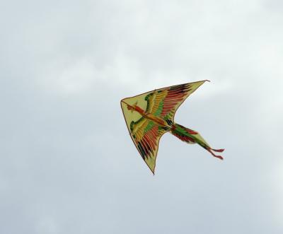 KitesKT1 C261312.jpg