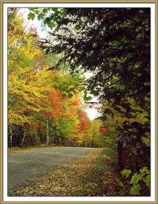 CountryRoad