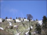 L haut sur la montagne...(2)