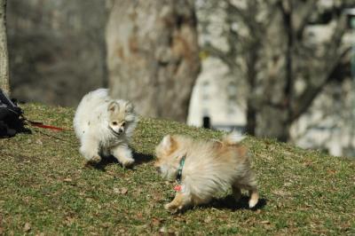 Apr4_05_147.JPG