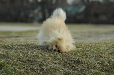 Apr6_05_010.JPG