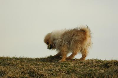 Apr6_05_088.JPG