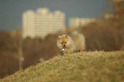 Apr6_05_135.JPG