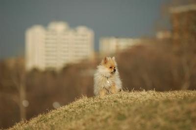 Apr6_05_136.JPG