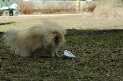 Apr8_05_012.JPG