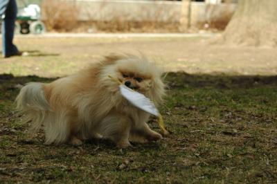 Apr8_05_014.JPG