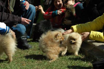 Apr8_05_338.JPG