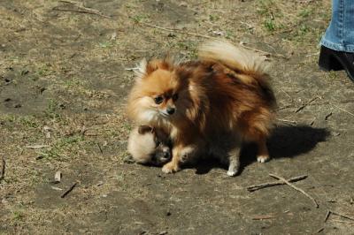 Apr8_05_365.JPG