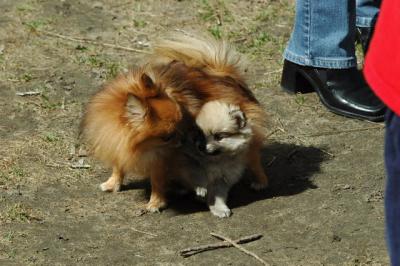 Apr8_05_368.JPG