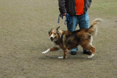 Apr8_05_379.JPG