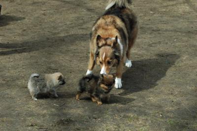 Apr8_05_383.JPG