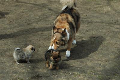 Apr8_05_384.JPG