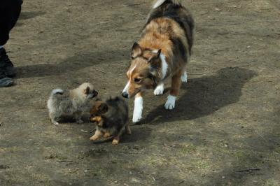 Apr8_05_385.JPG