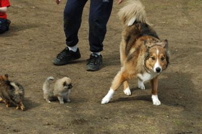 Apr8_05_387.JPG