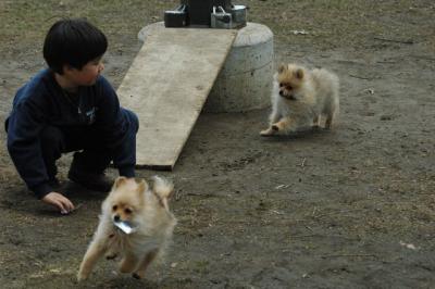 Apr8_05_420.JPG