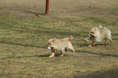 Apr8_05_423.JPG