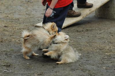 Apr8_05_424.JPG