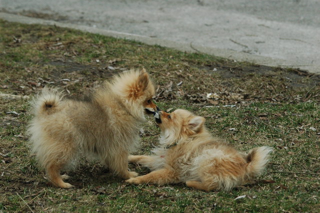 Apr8_05_007.JPG