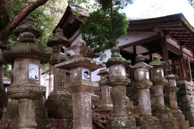 Stone Lanterns, Kasuga Taisha Shrine, Nara