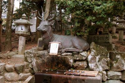 The Nara deer are said to be divine messengers