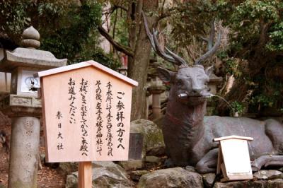 Deer fountain at Kasuga Taisha Shrine