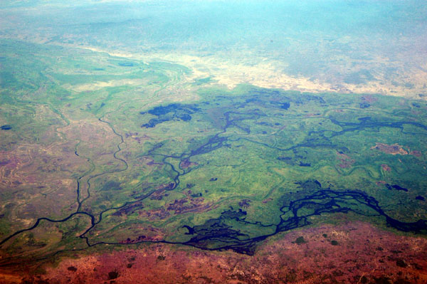Shire River wetlands, Mozambique-Malawi