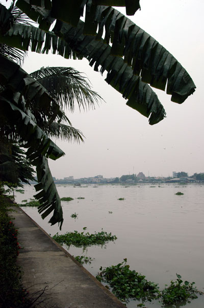 Chao Phraya at Wat Phai Lom