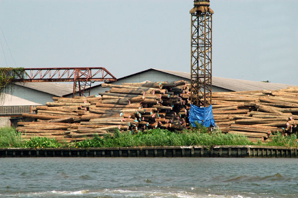 Lumber yard along the Chao Phraya