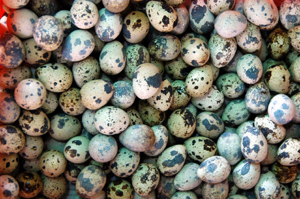 Colorful eggs, Thewet Market