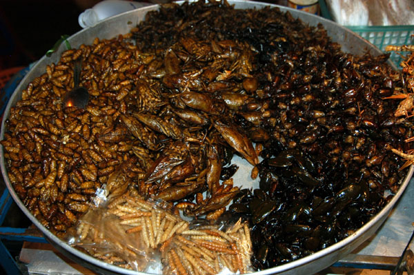 Fried bugs, Bangkok