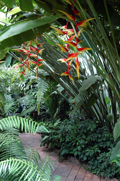 Gardens at Jim Thompson House