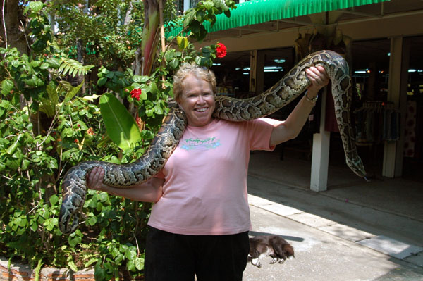 Mom and the python