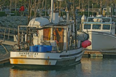 The Sandra Fay In The Late Afternoon Sun