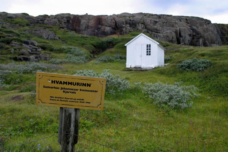 Vi Hvamm, sumarhs Kjarvals