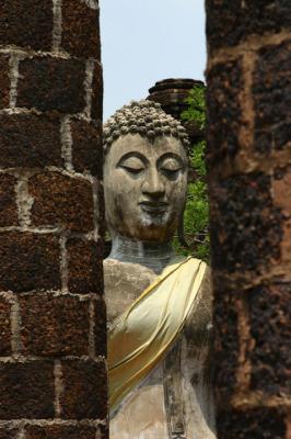 Hidden buddha