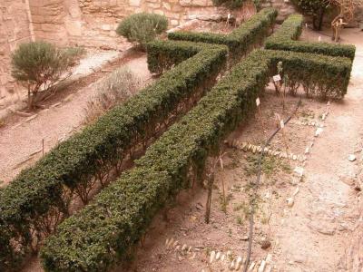 Chartreuse: a Carthusian father's garden