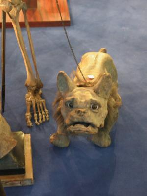 Jolly Roger's mummified dog