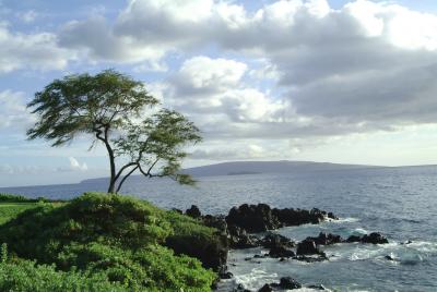 Moments in Hawai