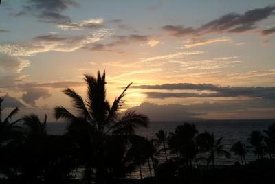 Palm sunset (Maui)