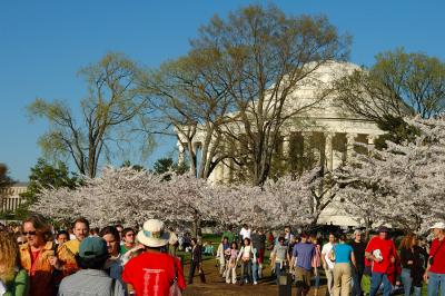 Crowds at the Jefferson Memorial_DSC_9333