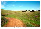 Green Hills of Fremont Older OSP